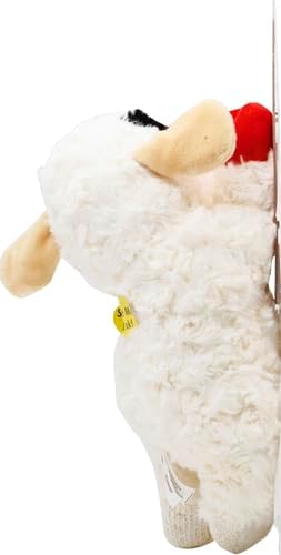 Spark & Surprises™ Plush Lamb Squeaky Toy for Dogs (10”)