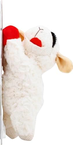Spark & Surprises™ Plush Lamb Squeaky Toy for Dogs (10”)