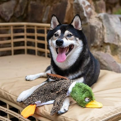 Spark & Surprises™ Stuffless Squeaky Duck Dog Toy