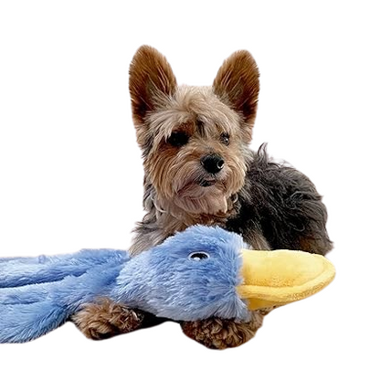 SparkAndSurprises™ Interactive Squeaky Duck Dog Toy – No-Stuffing (Yellow)