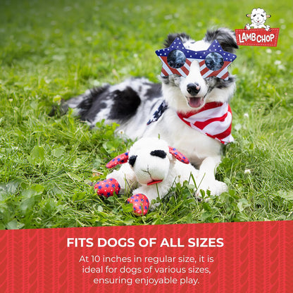 Spark & Surprises™ Plush Lamb Squeaky Toy for Dogs (10”)