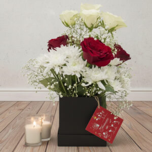 Divine Elegance – Red and White Roses