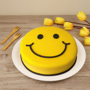 Chocolate Fudge Delight – Smiley Edition (3 lbs)