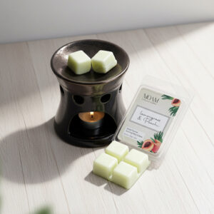 MOAM Aromatic Lemongrass & Peach Wax Cubes