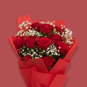 Passion for red val vet Combo