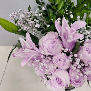 Petals Under the Moon